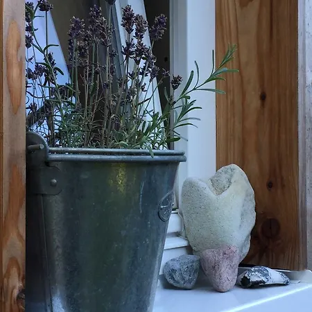 Appartement Anderswo In Der Naehe Von Stralsund *